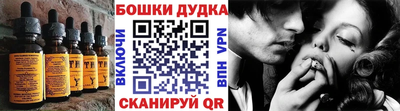 MEGA как войти  сколько стоит  Чегем  Еда ТГК конопля 