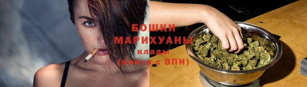 индика Бугульма