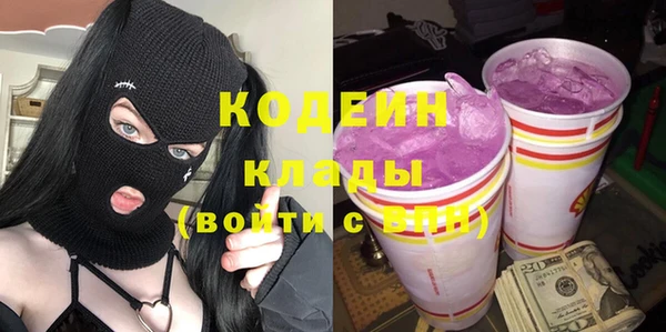 индика Бугульма
