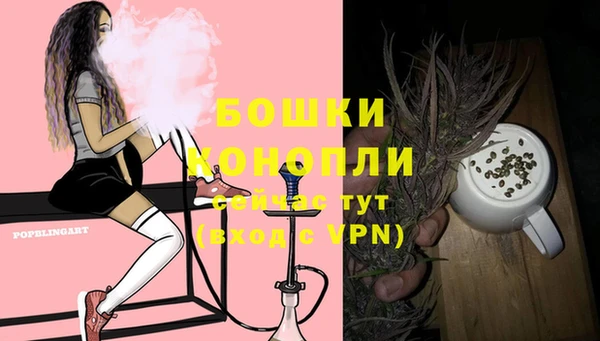 индика Бугульма