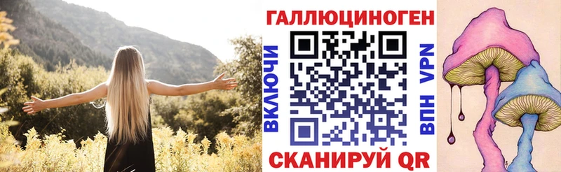 Галлюциногенные грибы прущие грибы  блэк спрут ссылка  Чегем 